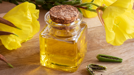 Evening Primrose Oil for Pregnancy